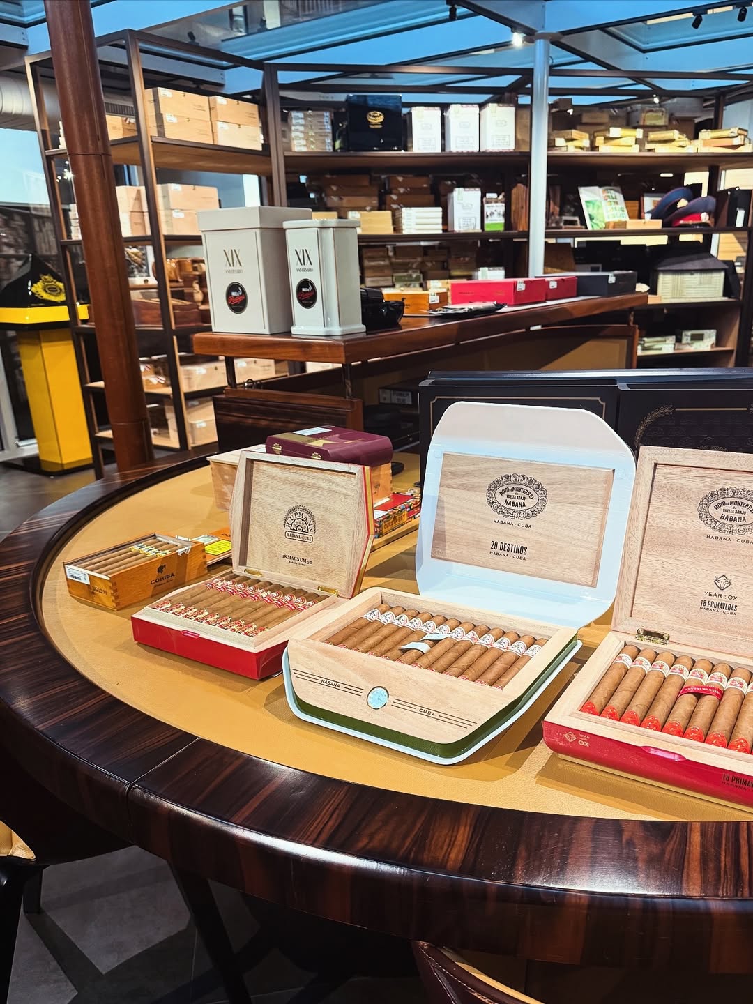 Selection of luxury cigars at a VIP event in Switzerland