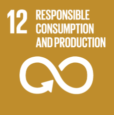 UN Sustainable Development Goals 12 – Responsible Consumption and Production
